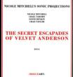 Secret Escapades Of Velvet Anderson