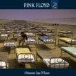Momentary Lapse Of Reason
