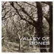 Valley Of Bones