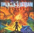 Acacia Strain