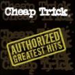 Authorized Greatest Hits (Eco Slipcase)
