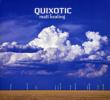 Quixotic