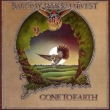 Gone To Earth: Expanded Edition (2CD+DVD)