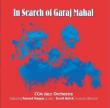 In Search Of Garaj Mahal