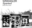 Sparked: Modular Remix Project