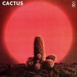 Cactus (180gr)