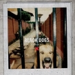 Black Dogs (AiOR[h)