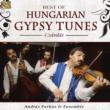 Best Of Hungarian Gypsy Tunes