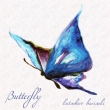 Butterlfy