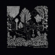 Garden Of The Arcane Delights / Peel Sessions
