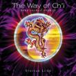 Way Of Ch' i
