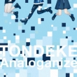 Tondeke/Analoganize