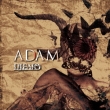 Adam