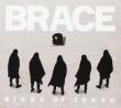 Brace