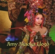 Amy Akaoka Llego