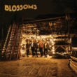 Blossoms (Lp / No Foil Version)