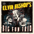 Elvin Bishop' s Big Fun Trio