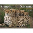 Symphony of Savanna Toi ̂̌y