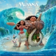 AiƓ`̊C Moana TEhgbN (AiOR[h/Walt Disney)