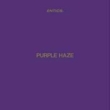 Purple Haze