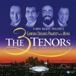 The 3 Tenors in Concert 1994 : Jose Carreras, Placido Domingo, Luciano Pavarotti, Zubin Mehta / Los Angeles Philharmonic (2LP)