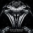 Entombed In Dark Matter