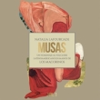 Musas (Un Homenajeal Folclore Latinoamericano En Manos De Los Macorinos)