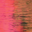 Dead Reflection