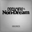 Dreaming In The Non-dream