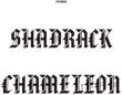 Shadrack Chameleon