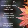 Vocal Works, Piano Works: Bellheim(P)Martin Hummel(Br, Narr)