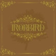 Ironbird