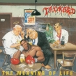 Meaning Of Life