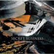 Secret Business