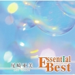 Essential Best 1200 Ami Ozaki
