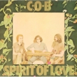 Spirit Of Love