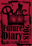 Determination of Q' ulleuFuture Diary 2018v
