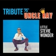 Tribute To Uncle Ray / Jazz Soul Of Little Stevie
