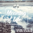 Meaning of Life yՁz(+DVD)