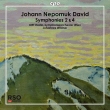 Symphonies Nos.2, 4 : Johannes Wildner / Vienna Radio Symphony Orchestra