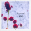 Burnet
