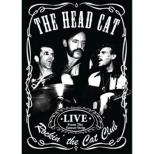 Rockin' The Cat Club