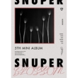 5th Mini Album: BLOSSOM