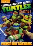 Teenage Mutant Ninja Turtles Season1 Complete Box
