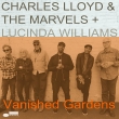 Vanished Gardens (2枚組/180グラム重量盤レコード/Blue Note)