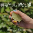 Lime Shiboreba