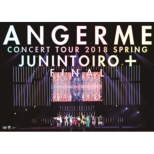 Angerme Concert Tour 2018 Haru 10 Nin Toiro+final