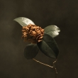 Young Sick Camellia (150g)
