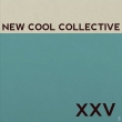 XXV (180OdʔՃR[h/Music On Vinyl)