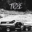 TRIBE